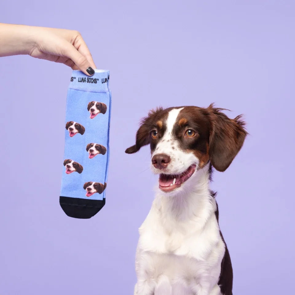 Pet picture on socks best sale