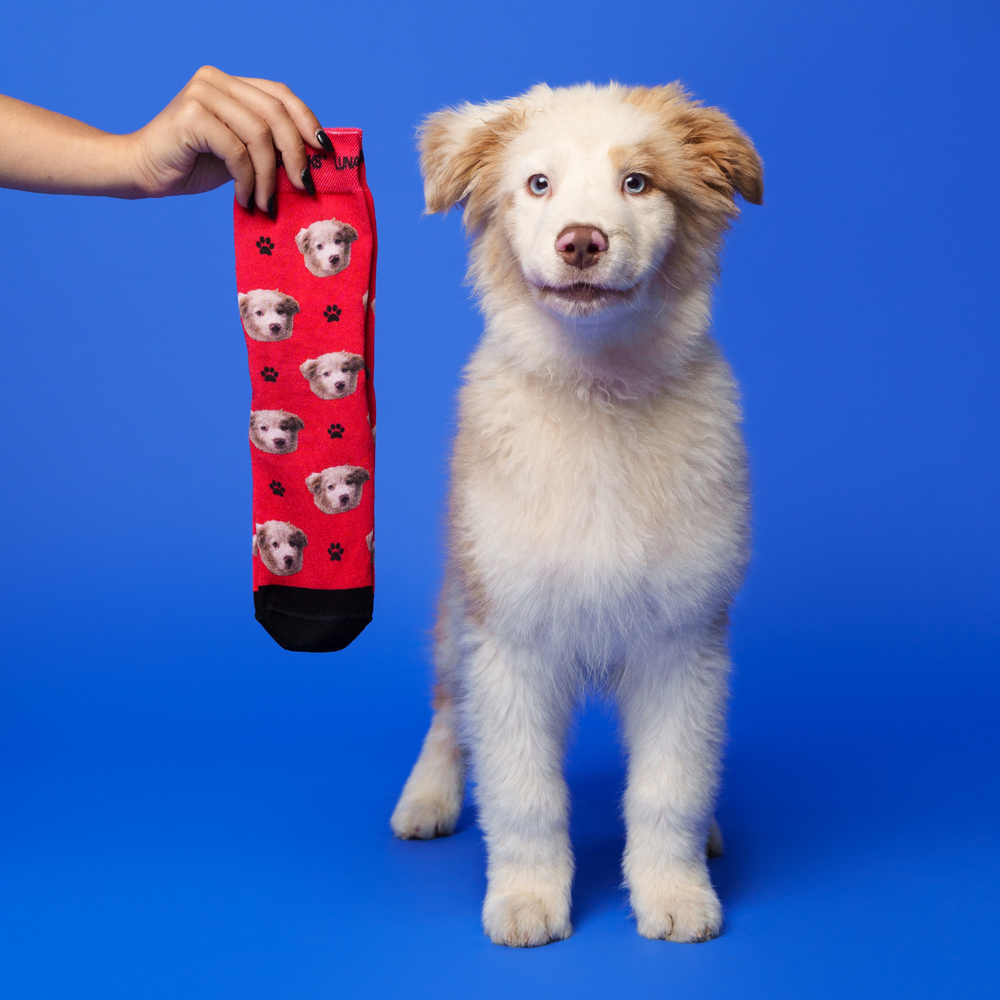 Custom Pet Socks