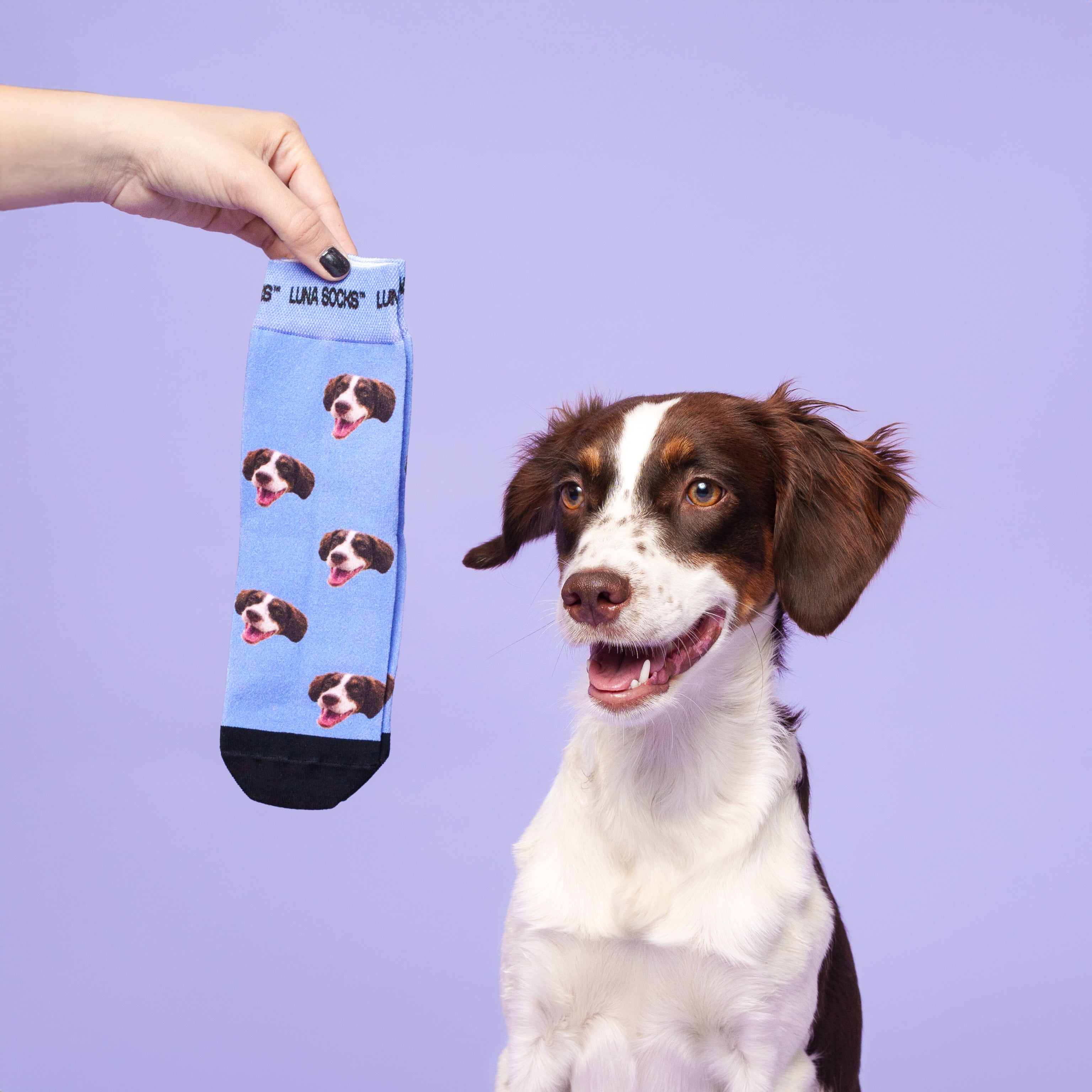 Custom Pet Socks - Luna Socks